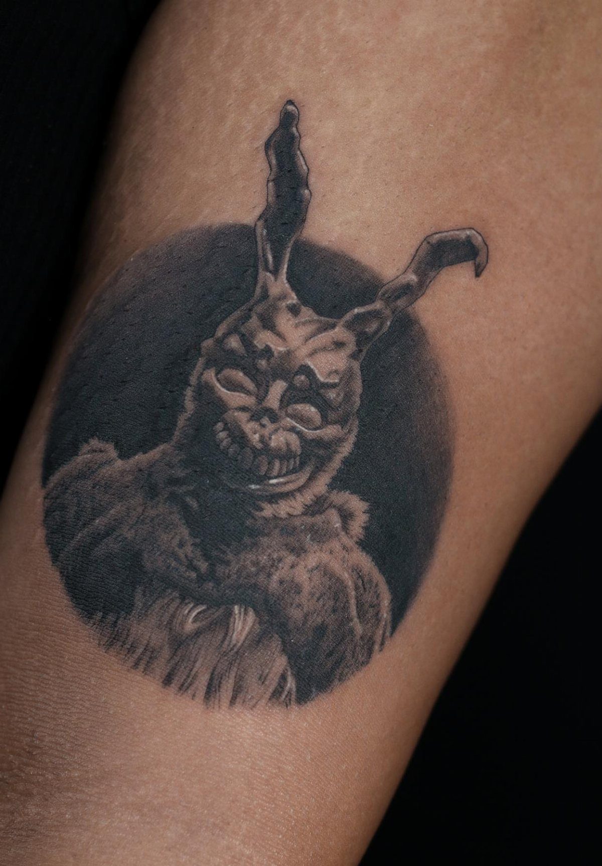 Frank the rabbit tattoo in black and grey realism on a person's arm.