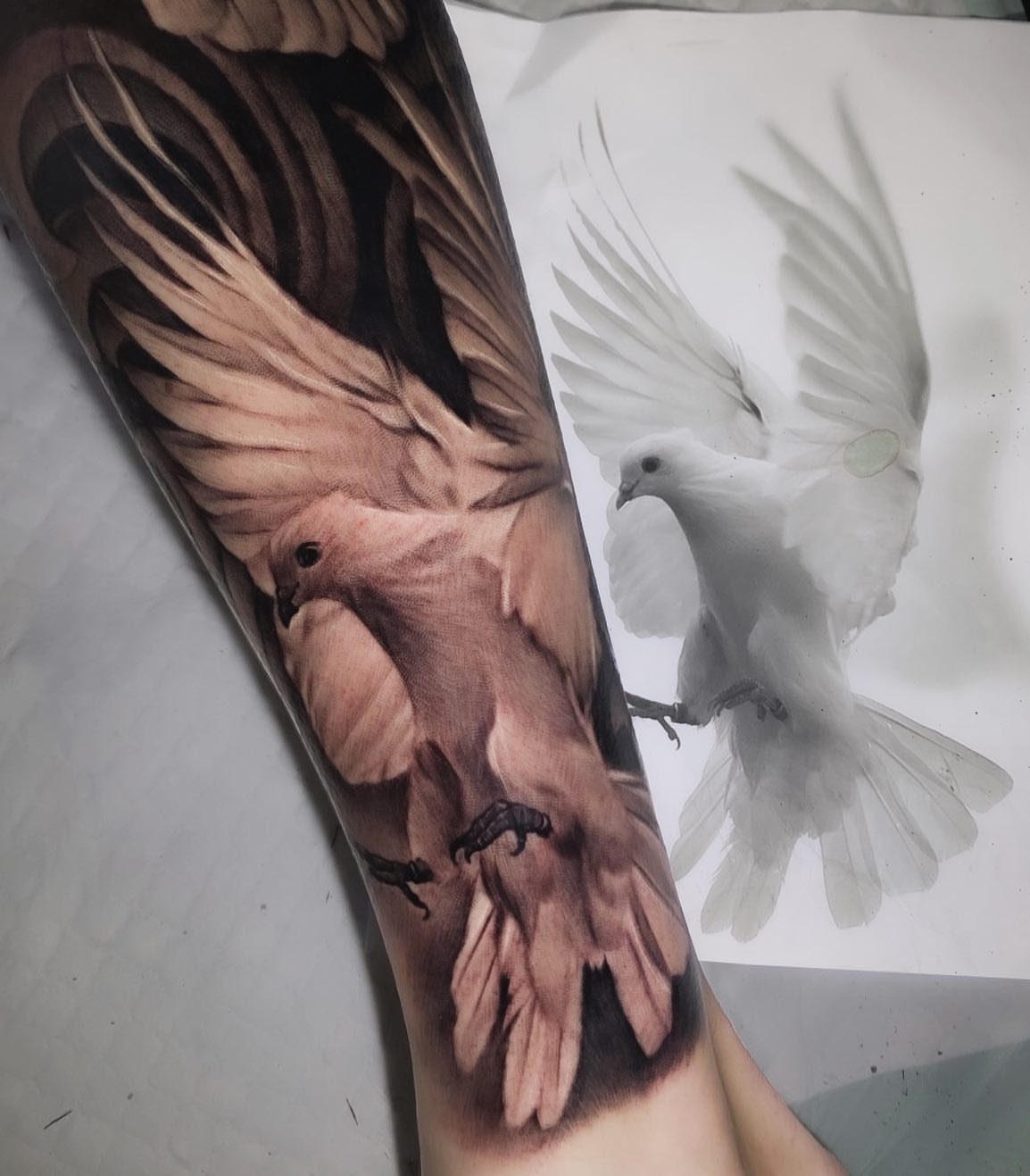 Detailed dove tattoo on an arm next to its white bird reference photo.