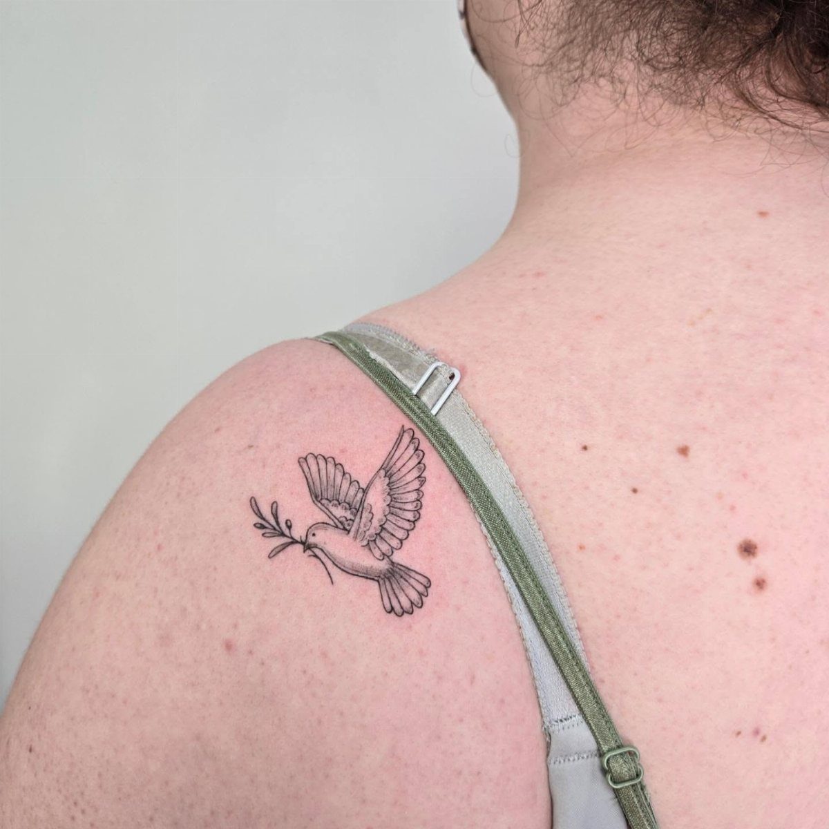 Dove tattoo with an olive branch in its beak on a person's shoulder