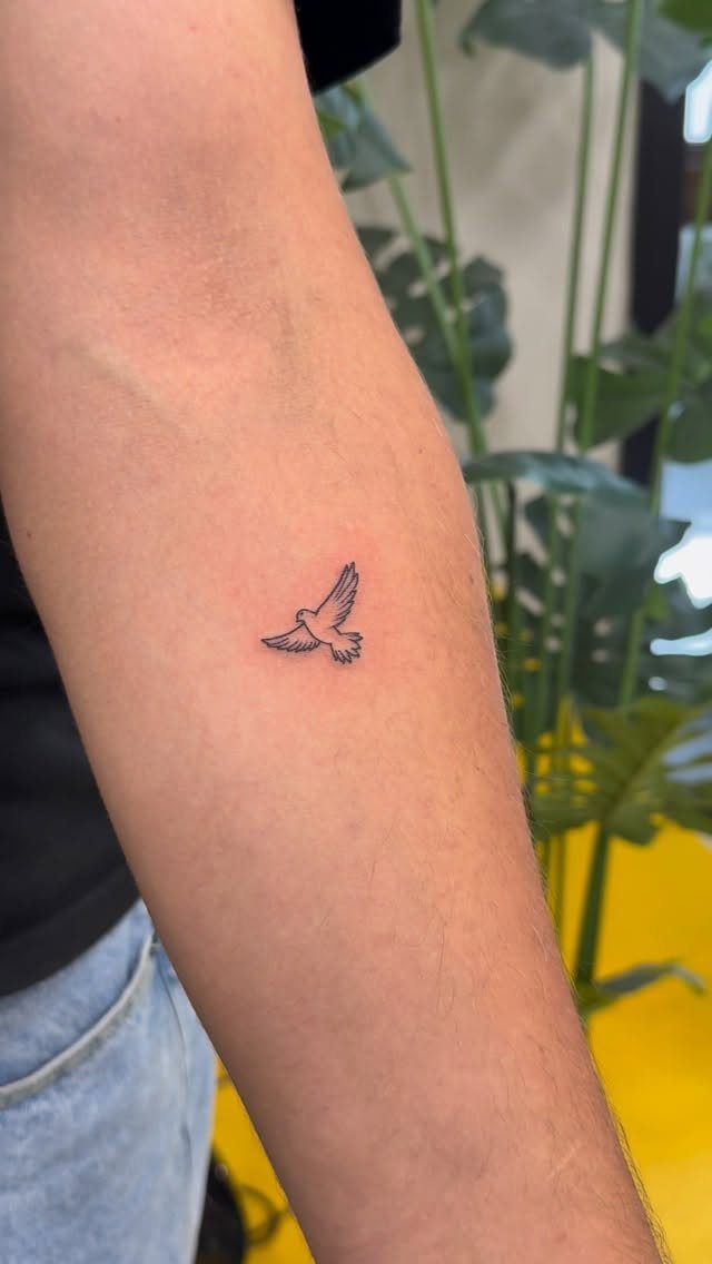 Small black ink dove tattoo on a person's forearm with a blurred plant background