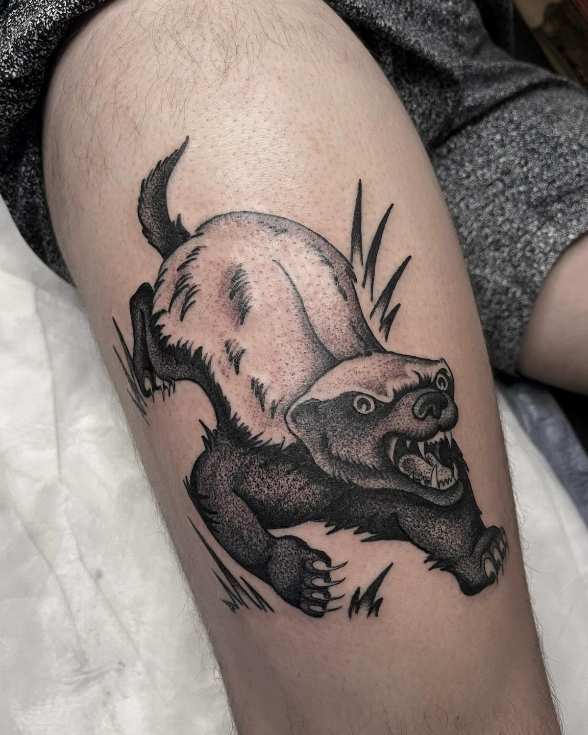 Honey badger tattoo on a leg showing an aggressive, snarling animal in black ink.