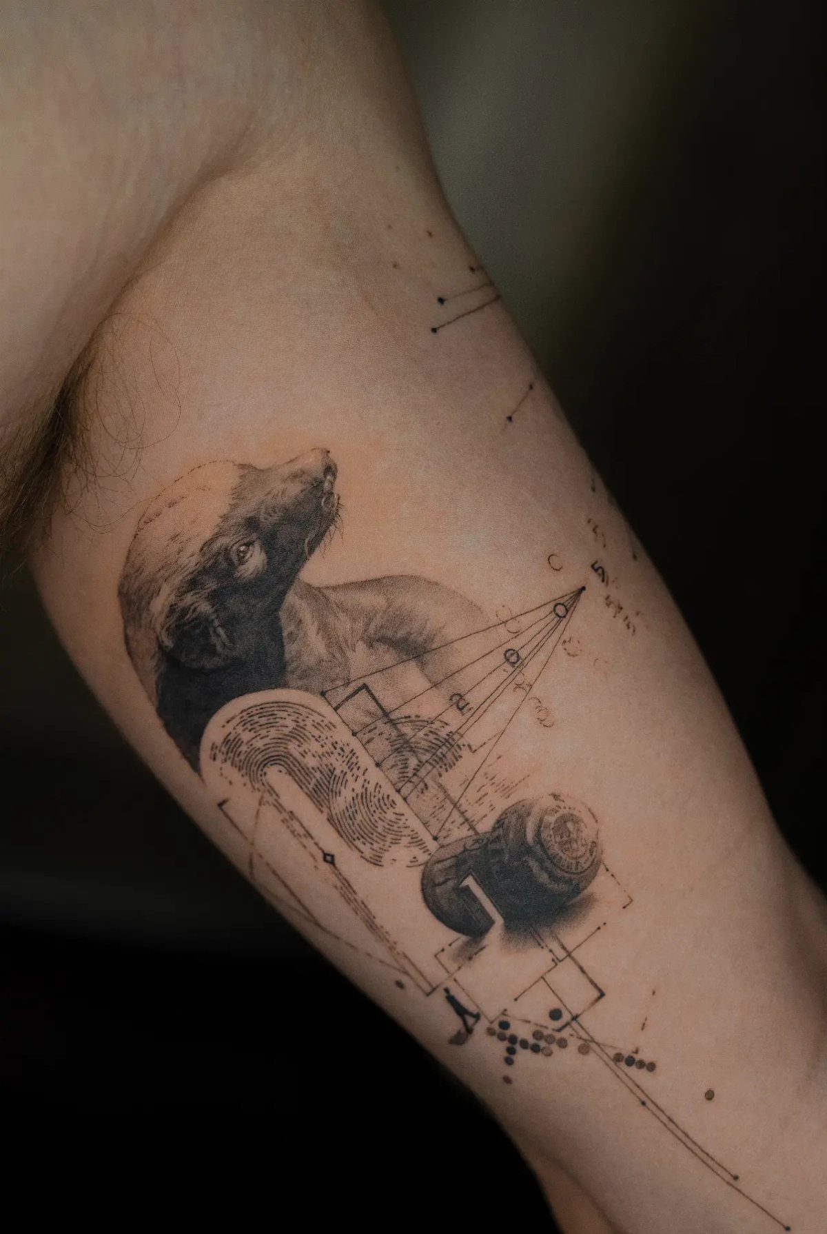 Honey badger head tattoo with geometric patterns on a person's forearm.