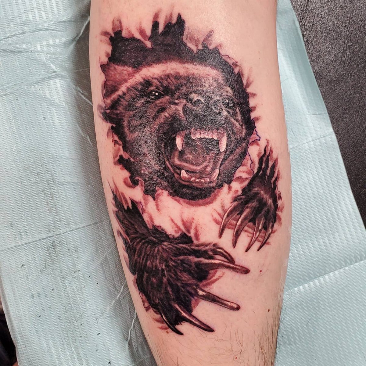 Honey badger tattoo on an arm showing the animal tearing through the skin.