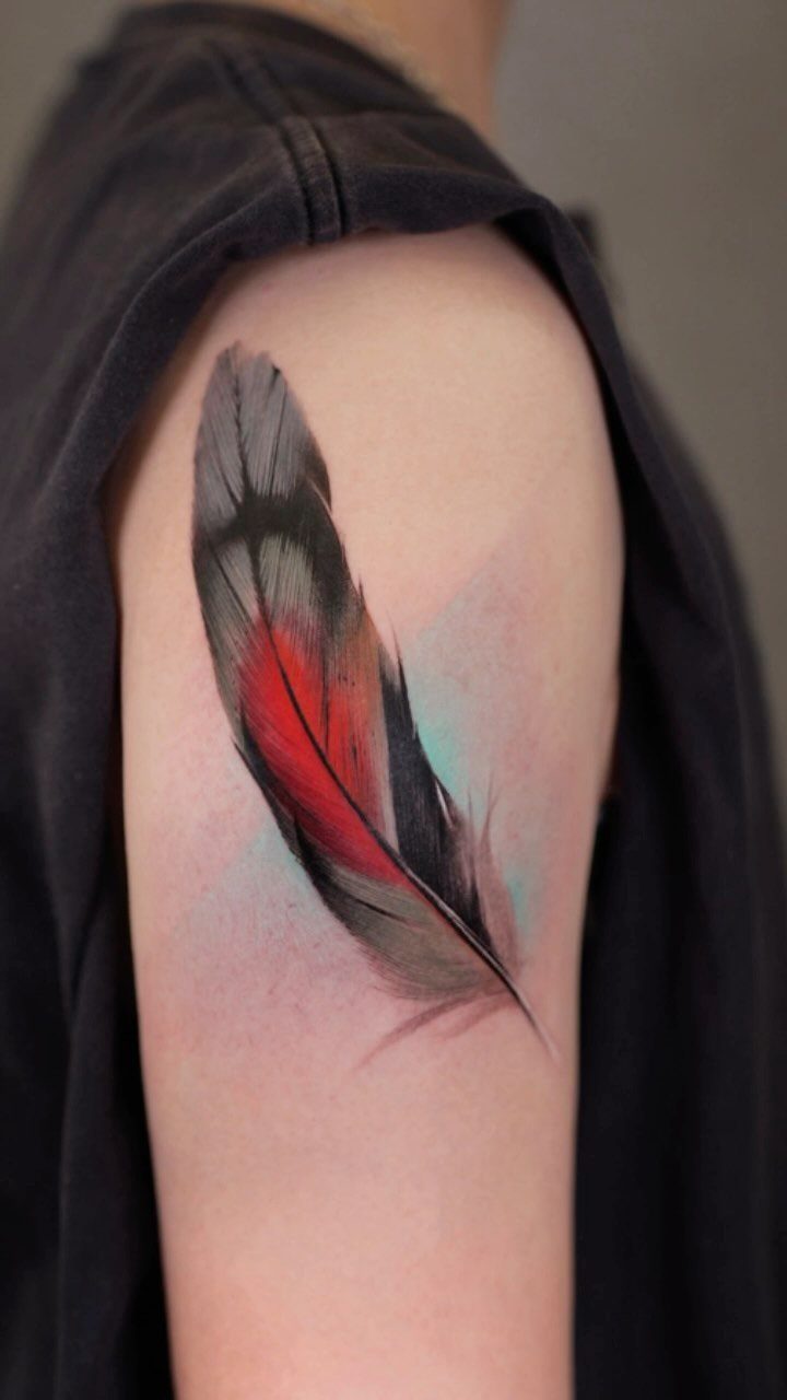 Feather tattoo on an upper arm with grey, red, and blue colors.
