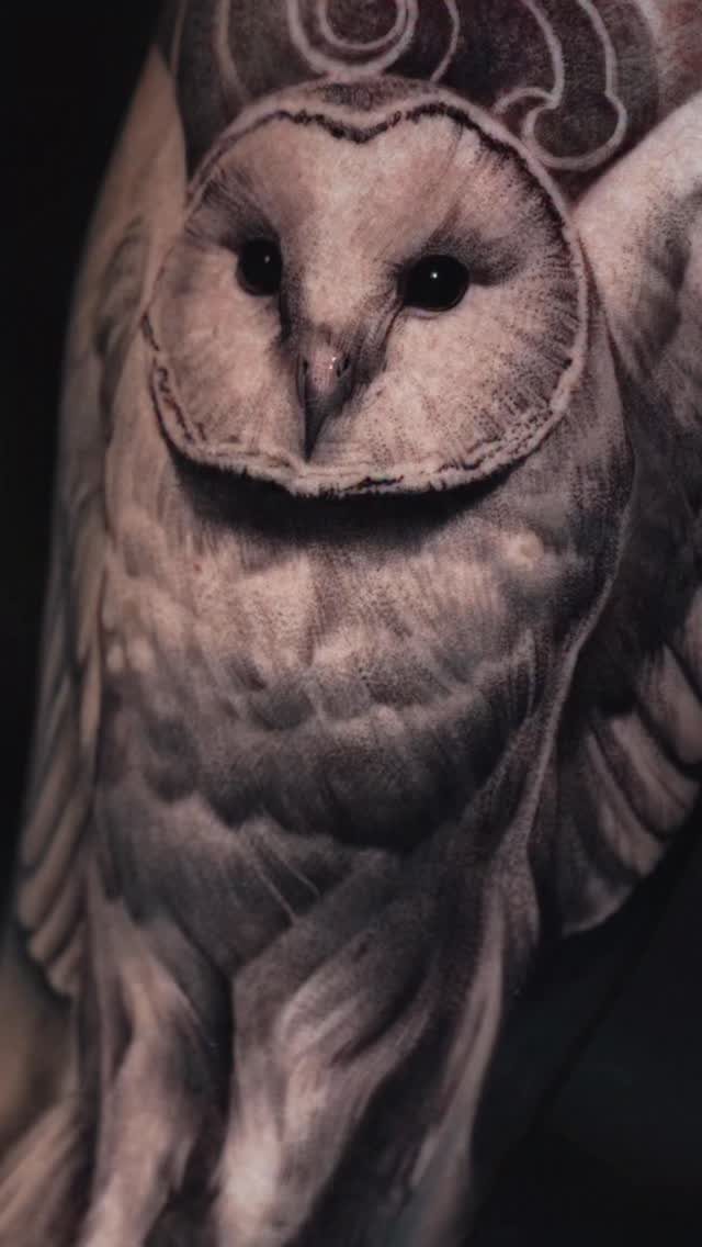 Detailed black and grey realism tattoo of a barn owl on skin.
