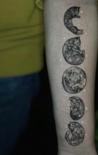 Cat moon phase tattoo on an arm with curled cats and small stars.