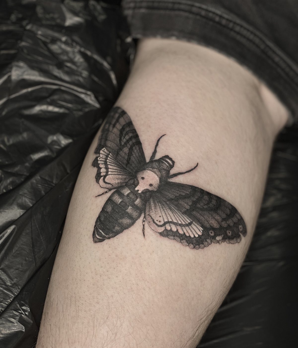 Moth tattoo with a skull pattern on a person's forearm in black and grey.