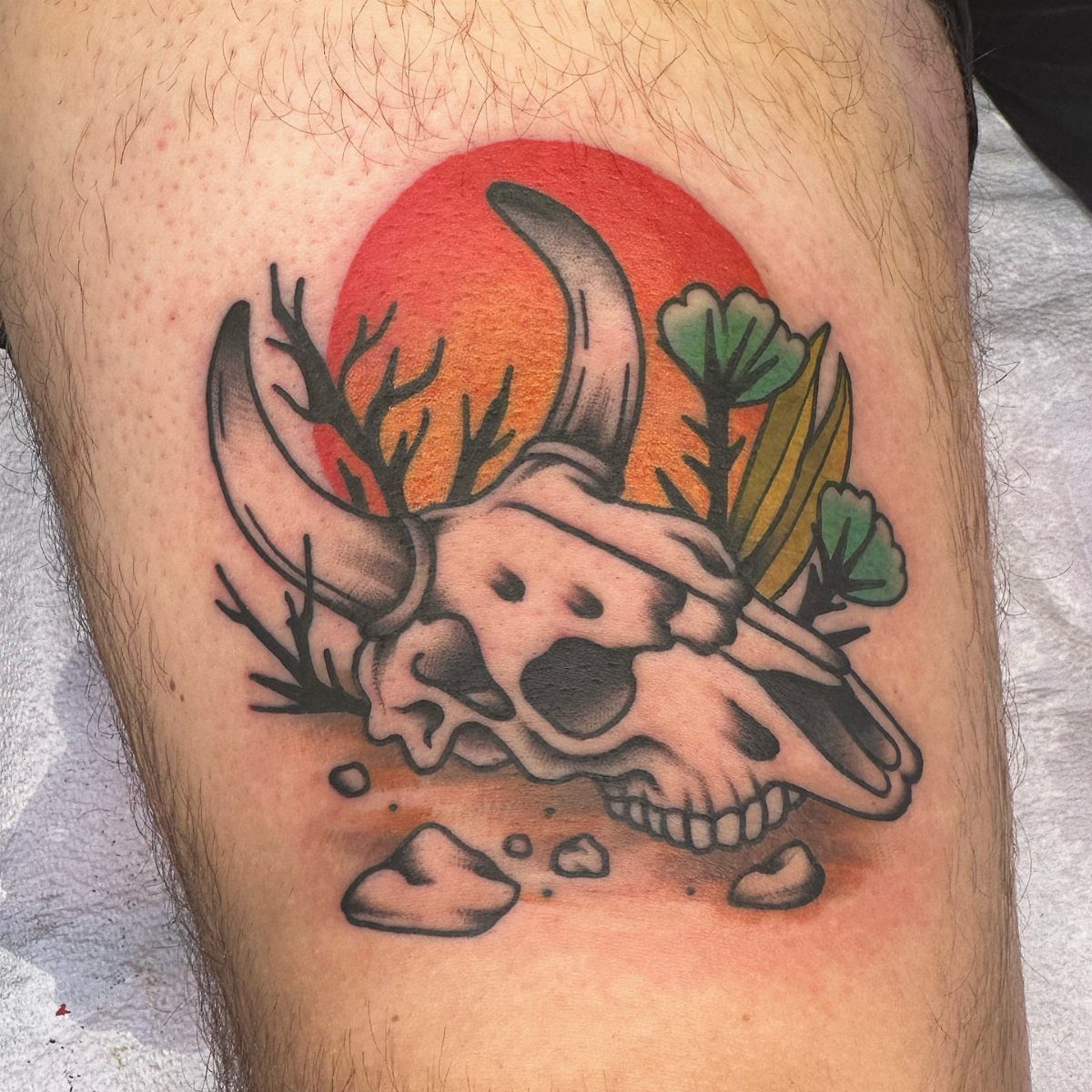 Longhorn animal skull tattoo with a red sun and desert plants on skin
