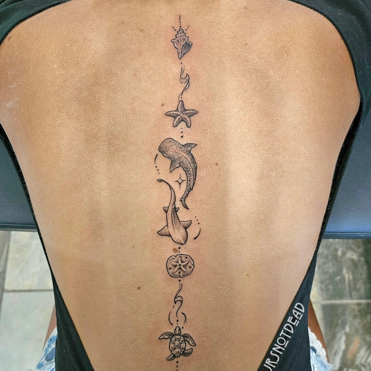 Sea creature tattoos arranged vertically along the spine of a person's back.