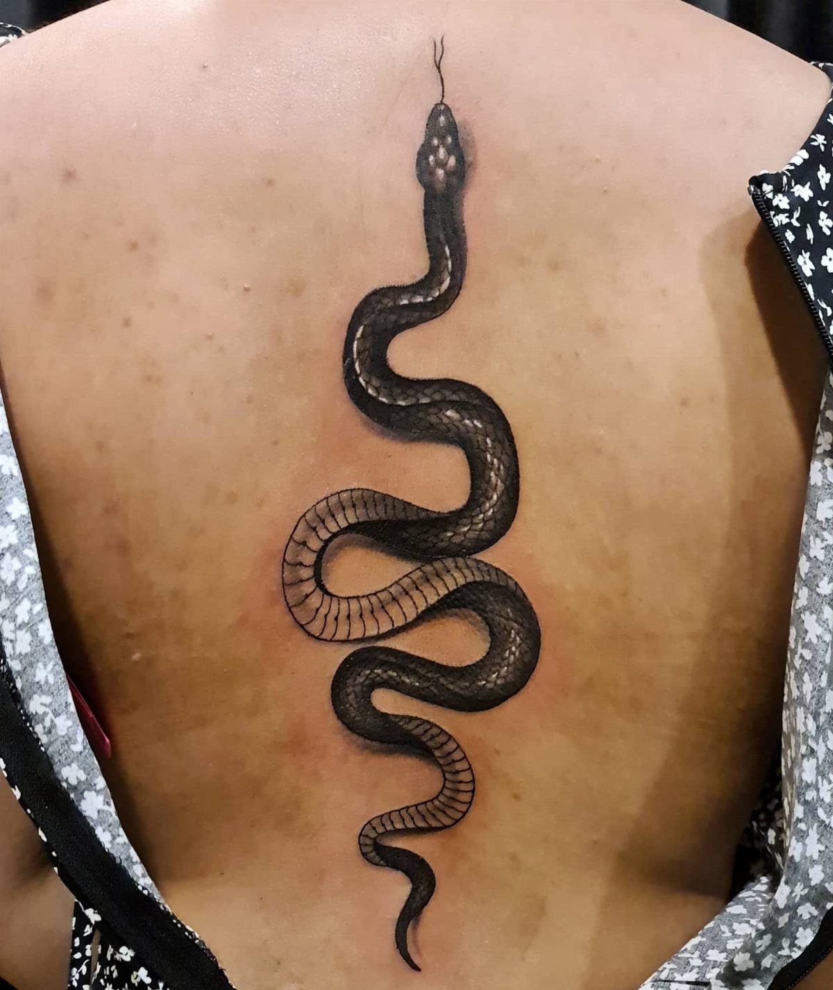 Black ink snake tattoo winding vertically down the center of a person's back.