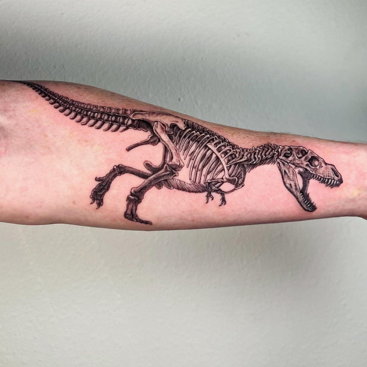 Tyrannosaurus Rex skeleton tattoo in black ink on a person's forearm.