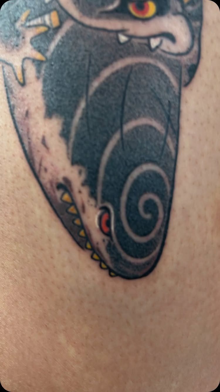 Traditional style shark head tattoo with bold outlines and red eye on skin.