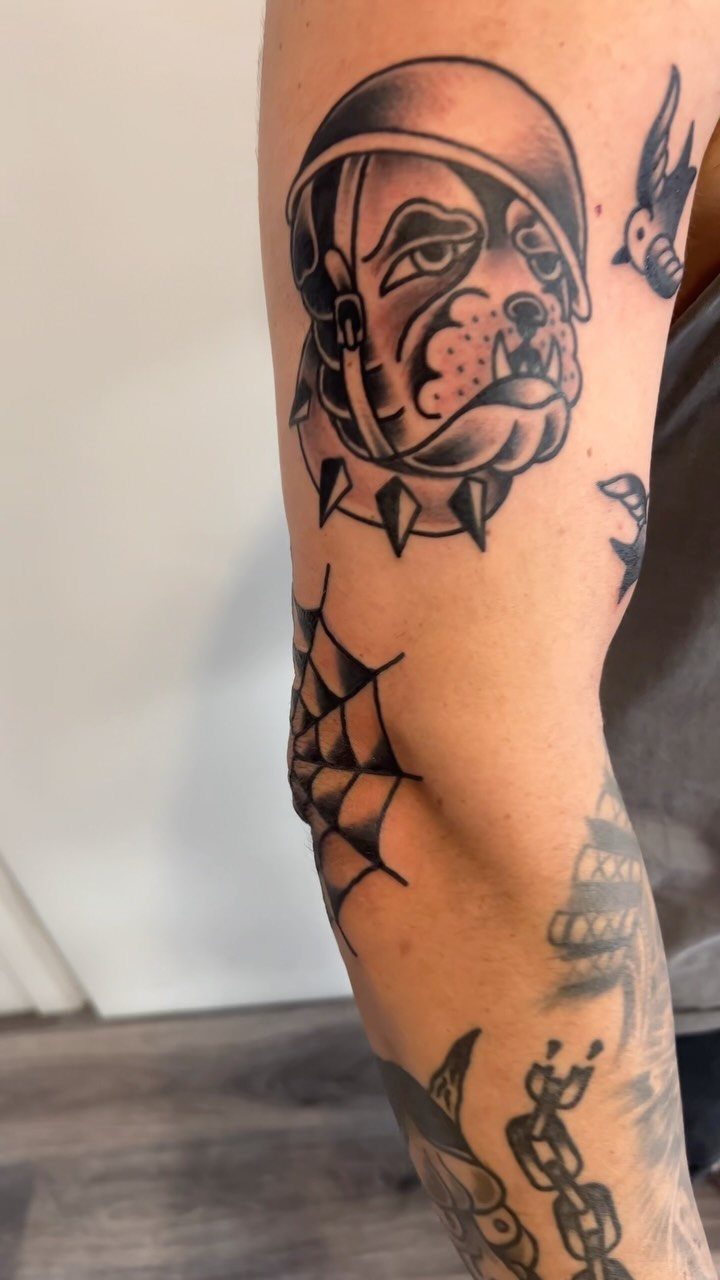 American traditional style tattoos of a bulldog, spider web, and chain on an arm.