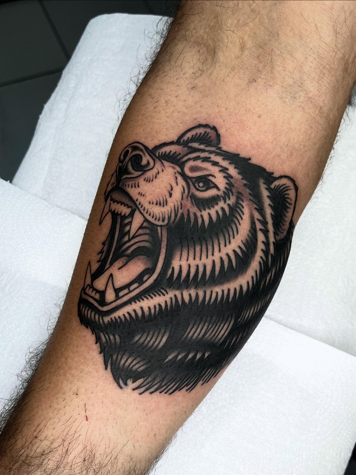 Roaring bear head tattoo in American traditional style on a man's forearm.