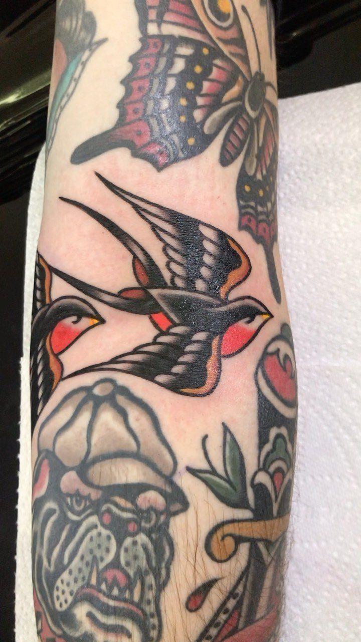 Traditional swallow tattoo with red accents on a man's tattooed arm