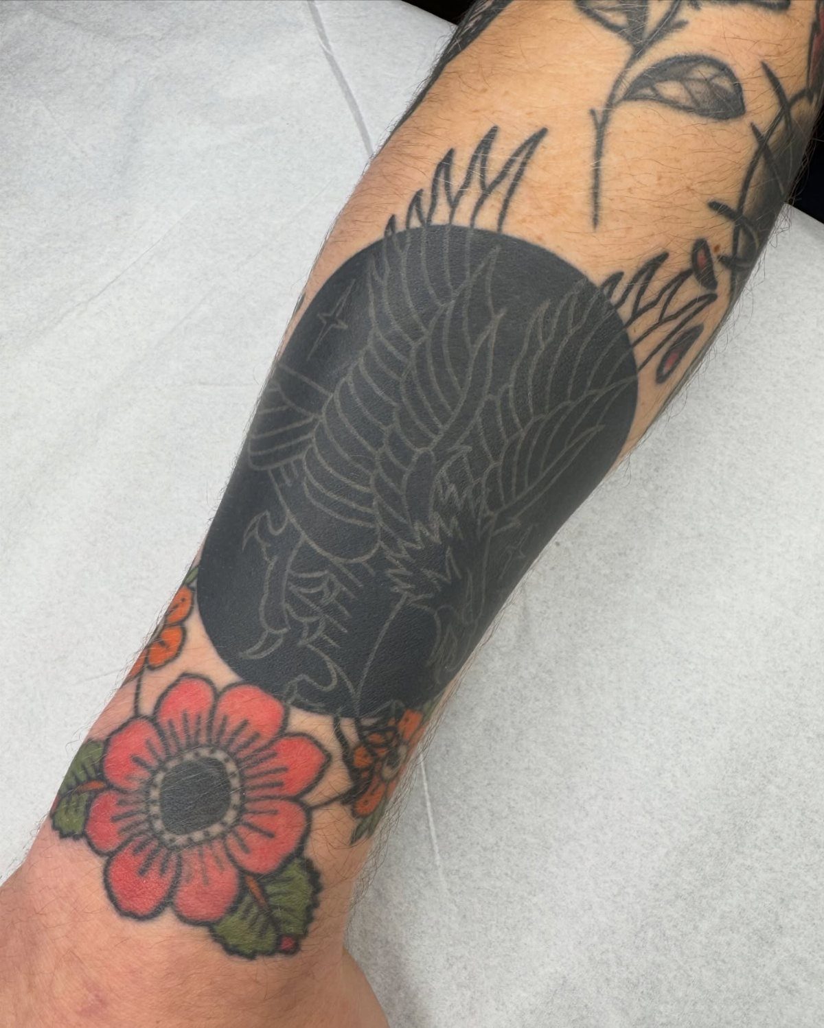 White ink bird tattoo on a solid black circular background on an arm.